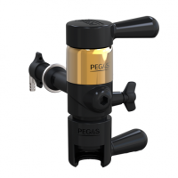 PEGAS Evolution Gold в Бишкеке